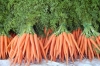 Carrot littlekata.jpg